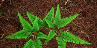 Która sieć komórkowa ma najwięcej klientów? Która sieć komórkowa ma najwięcej klientów?