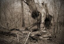 Od czego się psuje karta graficzna?