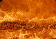 Do kogo należy marka Oppo? Do kogo należy marka Oppo?