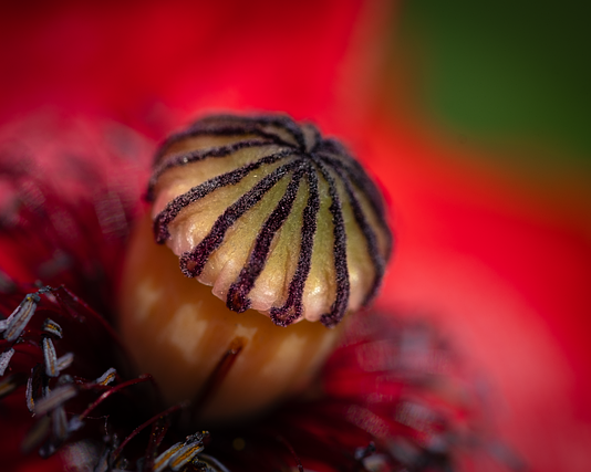 Czy 64 GB pamięci to dużo?