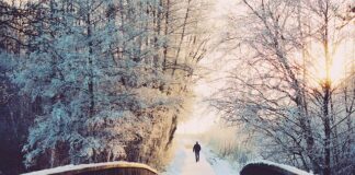 Czy warto przejść na abonament?