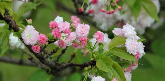 Jaka jest żywotność smartfona? Jaka jest żywotność smartfona?