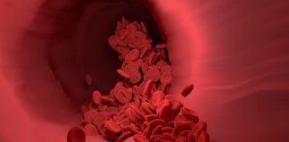 Jaka różnica między GDDR 5 a 6?