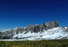 Jak długo gra jest w Game Pass?