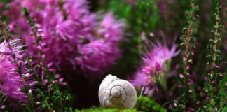 Czy obudowa komputera ma znaczenie?