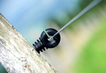 Ile procent Polaków ma smartfon?