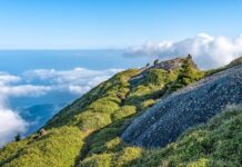 Jaka jest różnica między CPU a GPU? Jaka jest różnica między CPU a GPU?